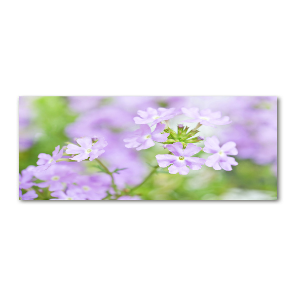 Cuadro metacrilato horizontal Verbena
