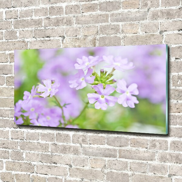 Cuadro metacrilato horizontal Verbena