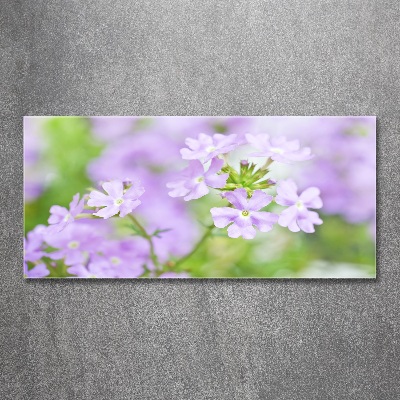 Cuadro metacrilato horizontal Verbena