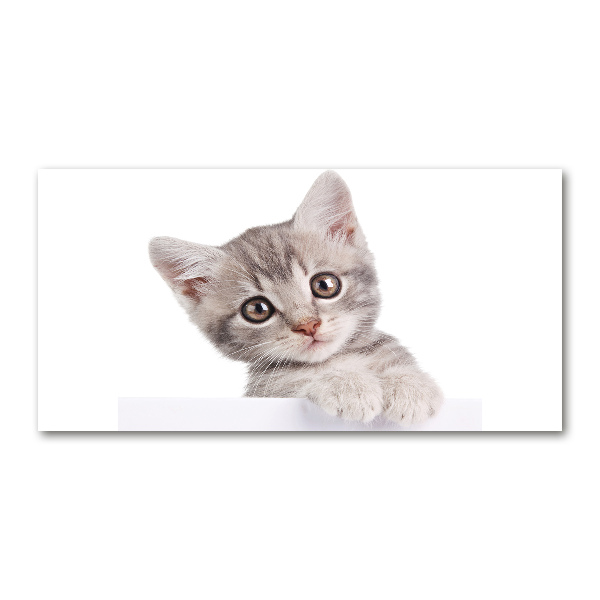 Pintura en acrílico horizontal gato gris