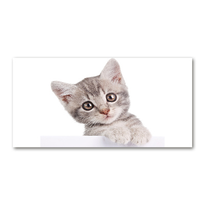 Pintura en acrílico horizontal gato gris