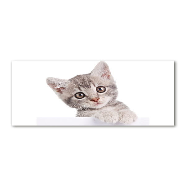 Pintura en acrílico horizontal gato gris