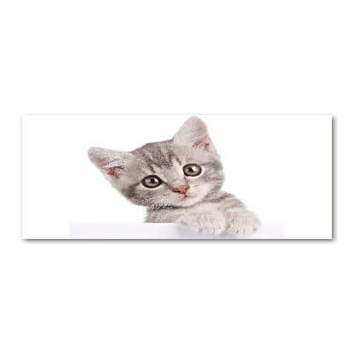 Pintura en acrílico horizontal gato gris