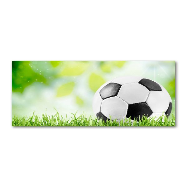 Pintura en acrílico horizontal Fútbol americano