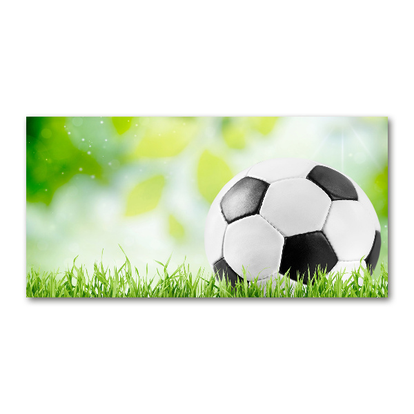 Pintura en acrílico horizontal Fútbol americano