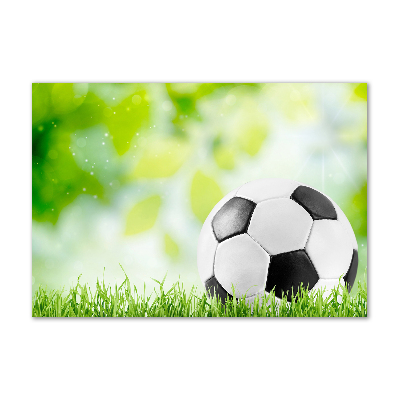 Pintura en acrílico horizontal Fútbol americano