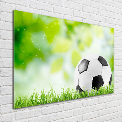 Pintura en acrílico horizontal Fútbol americano