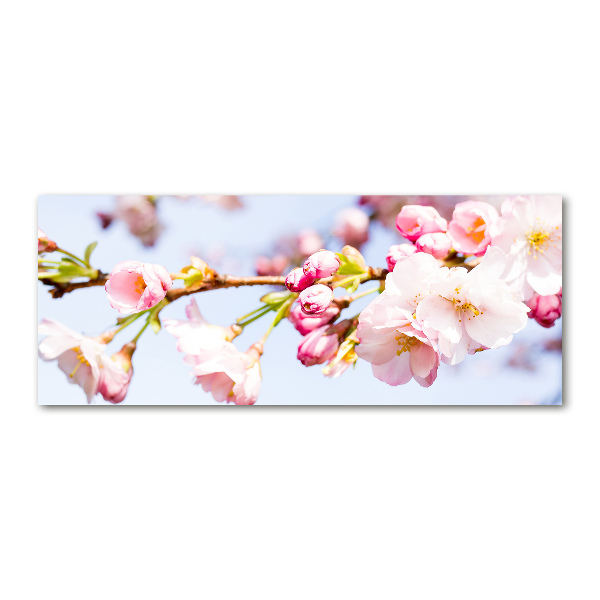 Foto en metacrilato horizontal flores de cerezo