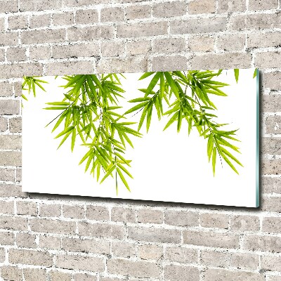 Pintura en acrílico horizontal hojas de bambú