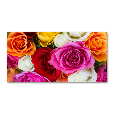 Cuadro metacrilato horizontal Rosas de colores
