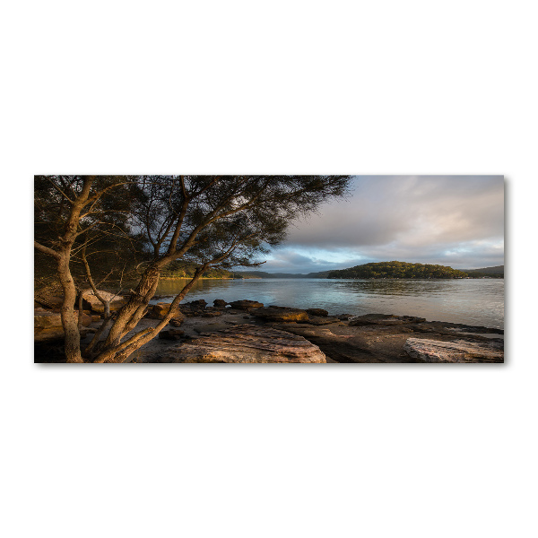 Pintura en acrílico horizontal Un árbol junto al río