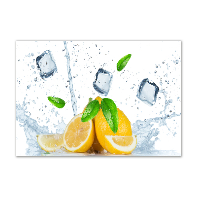 Cuadro metacrilato horizontal Limones con hielo
