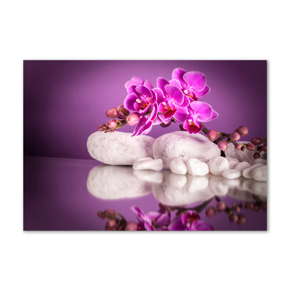 Cuadro acrílico horizontal Orquídea rosa