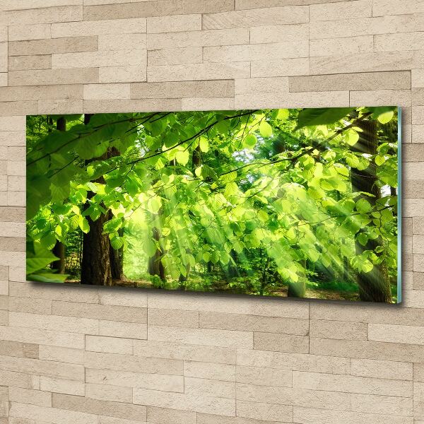 Pintura en acrílico horizontal hojas de haya