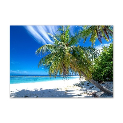 Cuadro acrílico horizontal Playa tropical
