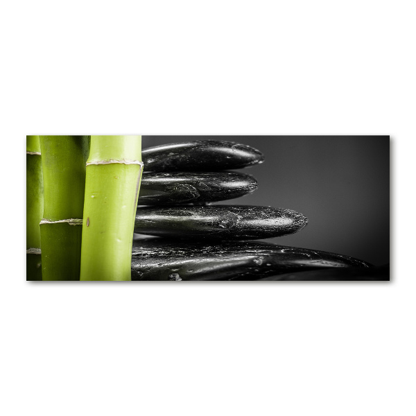 Pintura en acrílico horizontal Bambú