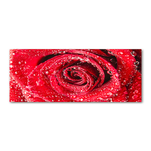 Pintura en acrílico horizontal Gotas de agua sobre una rosa