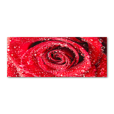 Pintura en acrílico horizontal Gotas de agua sobre una rosa