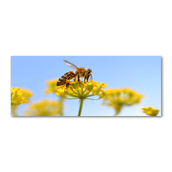 Cuadro metacrilato horizontal Una abeja en una flor