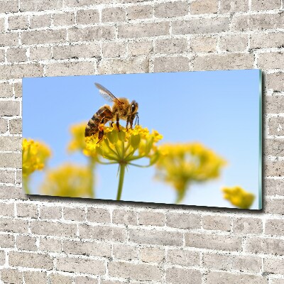 Cuadro metacrilato horizontal Una abeja en una flor