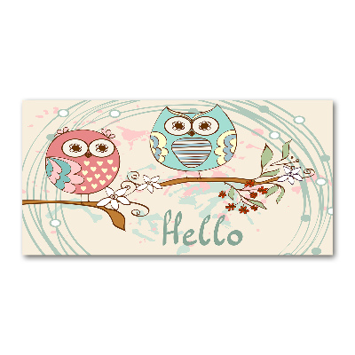 Foto en metacrilato horizontal Búhos