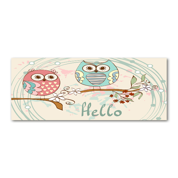 Foto en metacrilato horizontal Búhos