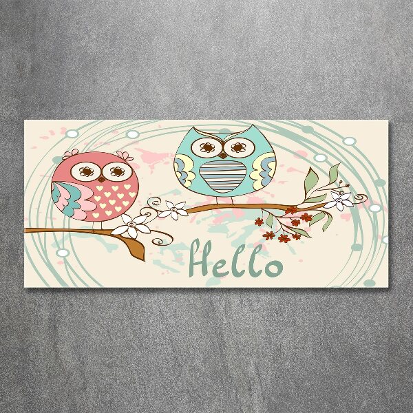 Foto en metacrilato horizontal Búhos