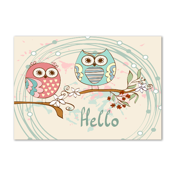 Foto en metacrilato horizontal Búhos