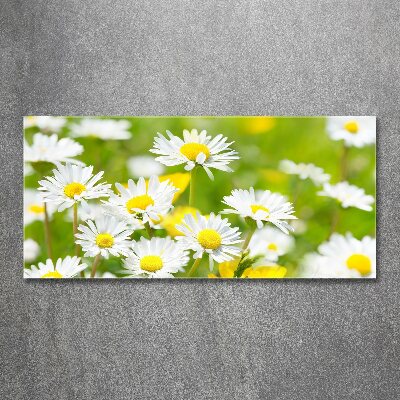 Pintura en acrílico horizontal margaritas