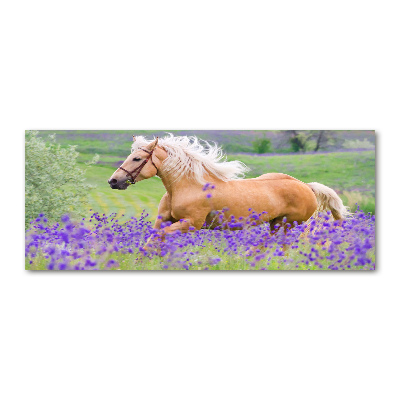 Foto en metacrilato horizontal Un caballo en un campo de lavanda.