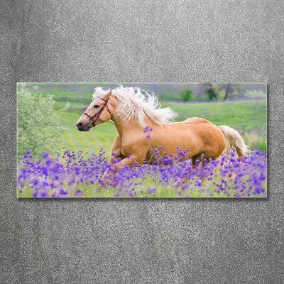 Foto en metacrilato horizontal Un caballo en un campo de lavanda.