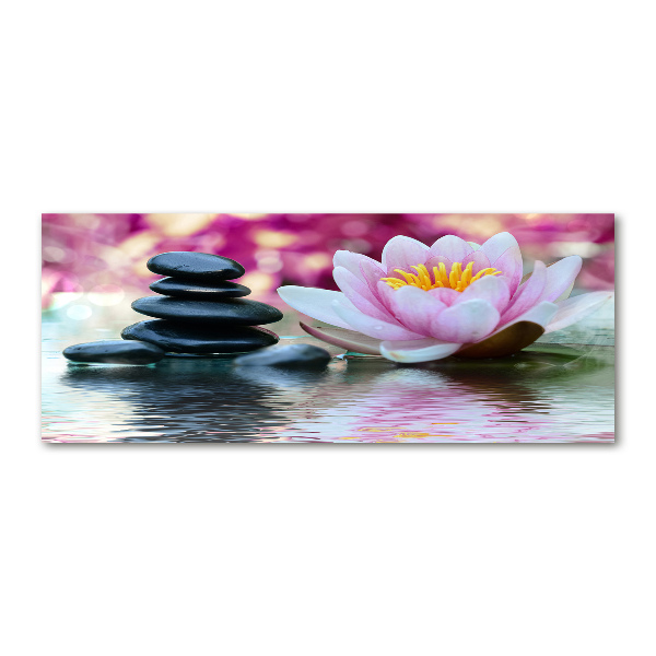 Cuadro acrílico horizontal Nenúfar
