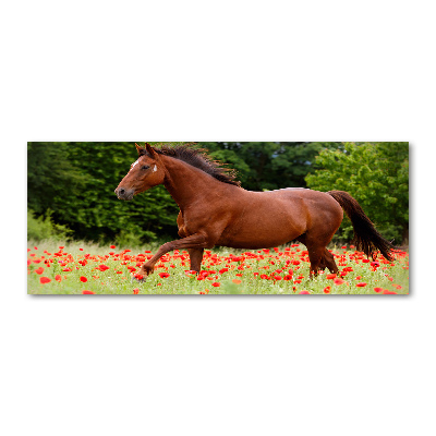 Pintura en acrílico horizontal Un caballo en un campo de amapolas.