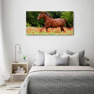 Pintura en acrílico horizontal Un caballo en un campo de amapolas.
