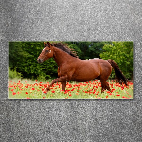 Pintura en acrílico horizontal Un caballo en un campo de amapolas.