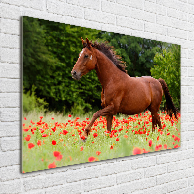 Pintura en acrílico horizontal Un caballo en un campo de amapolas.