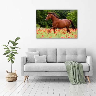 Pintura en acrílico horizontal Un caballo en un campo de amapolas.