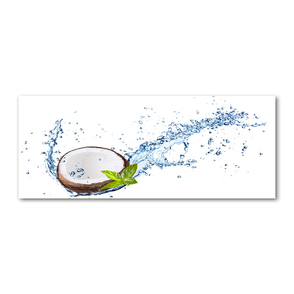 Foto en metacrilato horizontal Coco y agua