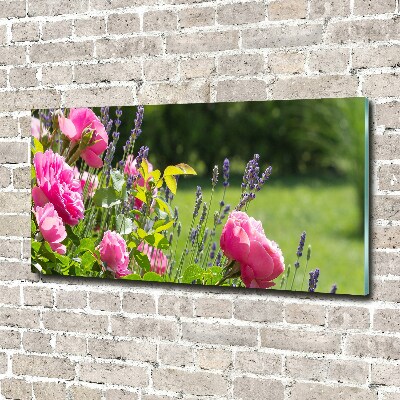 Obraz zdjęcie na ścianę akryl Dzika róża