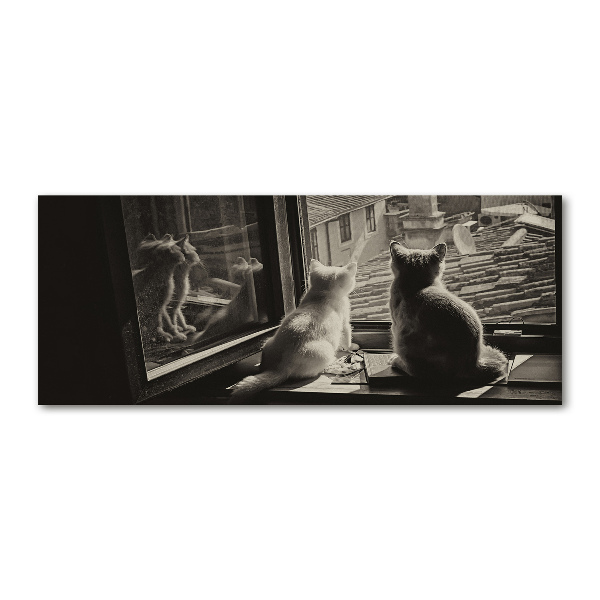 Cuadro metacrilato horizontal Gatos en la ventana