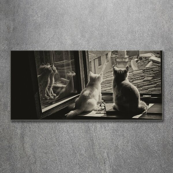 Cuadro metacrilato horizontal Gatos en la ventana