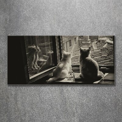 Cuadro metacrilato horizontal Gatos en la ventana