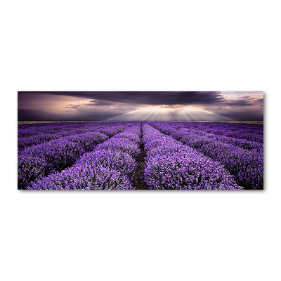 Cuadro acrílico horizontal campo de lavanda