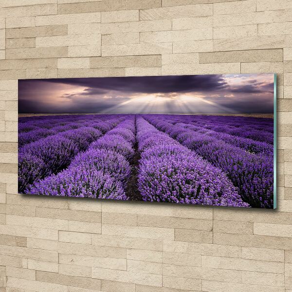 Cuadro acrílico horizontal campo de lavanda