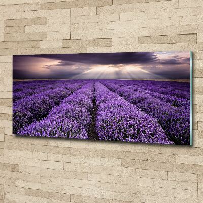 Cuadro acrílico horizontal campo de lavanda