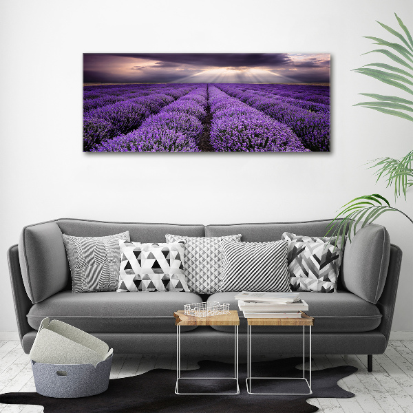 Cuadro acrílico horizontal campo de lavanda