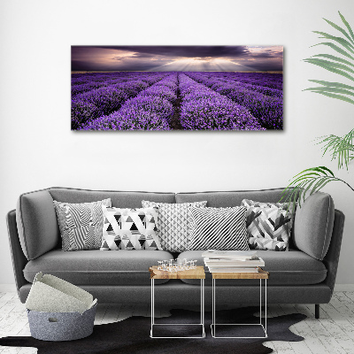 Cuadro acrílico horizontal campo de lavanda