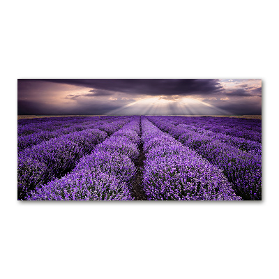 Cuadro acrílico horizontal campo de lavanda