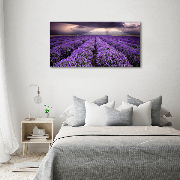 Cuadro acrílico horizontal campo de lavanda