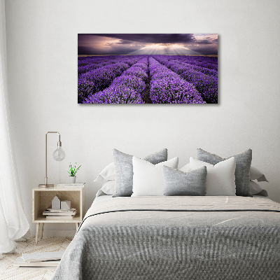 Cuadro acrílico horizontal campo de lavanda